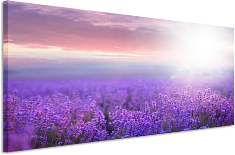 Paul Sinus Art 150x50cm Leinwandbild Auf Keilrahmen Lavendel Feld