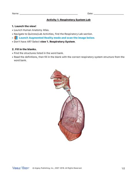 Respiratory Lab Activity © Argosy Publishing Inc 2007 2018 All Rights Reserved Launch The