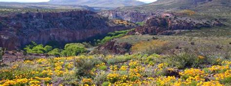 New Mexico Scenic Road Trips 25 State And National Byways New