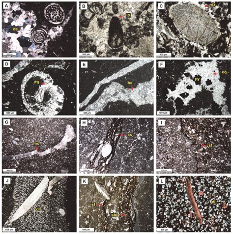 Photomicrographs Of Diagenetic Features Of The Sarvak Fm In The Zagros