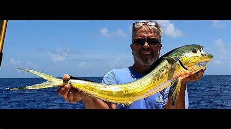 How To Catch Dolphin Fish Mahi Mahi Or Dorado In Late July Key Largo