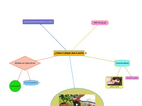 Como Cuidar Una Planta Mind Map Sexiz Pix