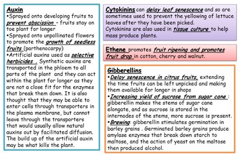 A Commercial Uses Of Plant Hormones Diagram Quizlet