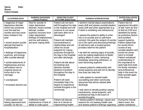 Client Care Plan Template