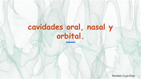 Cavidades Oral Orbital Y Nasal Resumen Ramdalls C E Udocz