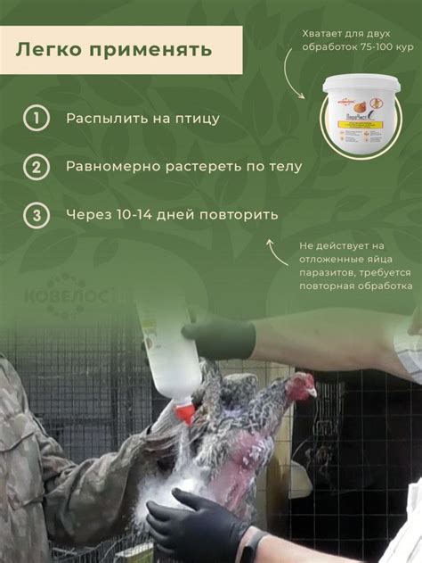 Перочист 5000 мл инсектоакарицидное средство — купить в городе Ростов ...