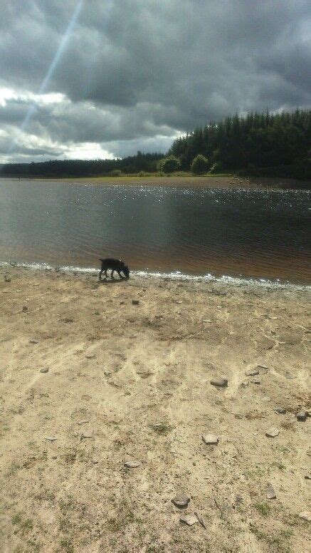 Pin By Tilly Sargeson On SCOUT Outdoor Scout Beach