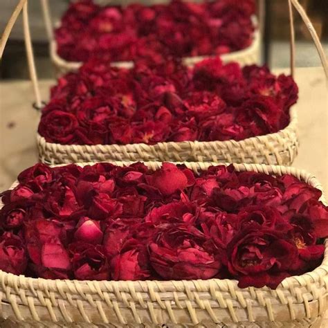 Ayurveda Recommends Gulkand The Sweet Preserve Of Rose Petals For Skin