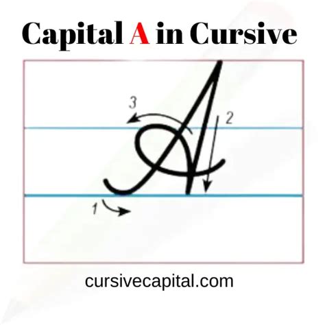 How to Write a Capital A in Cursive? (Capital Cursive A)