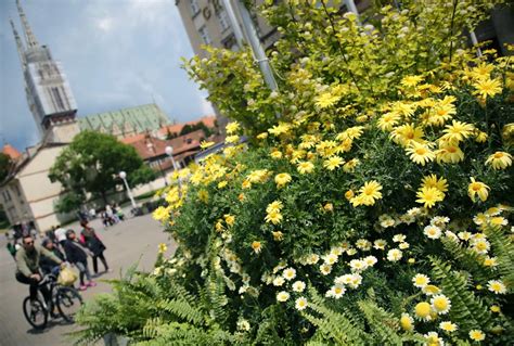 Evo Kada E Se Odr Ati Ovogodi Nji Floraart Na Bundeku