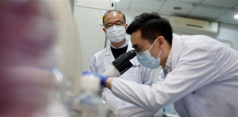 Chinese scientists seeking potential COVID-19 treatment find 'effective ...