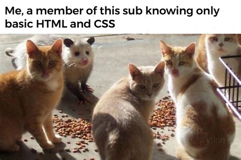 One Of These Things Is Not Like The Others R Programmerhumor