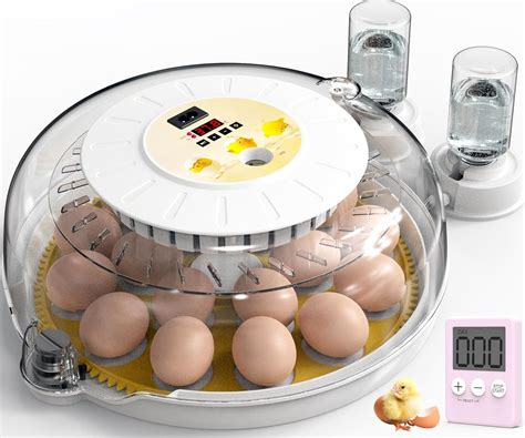 Amazon Detodda Eggs Incubators For Hatching Eggs With Automatic