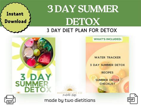 3 Day Summer Detox Weight Loss Guide Detox Recipes Meal Etsy