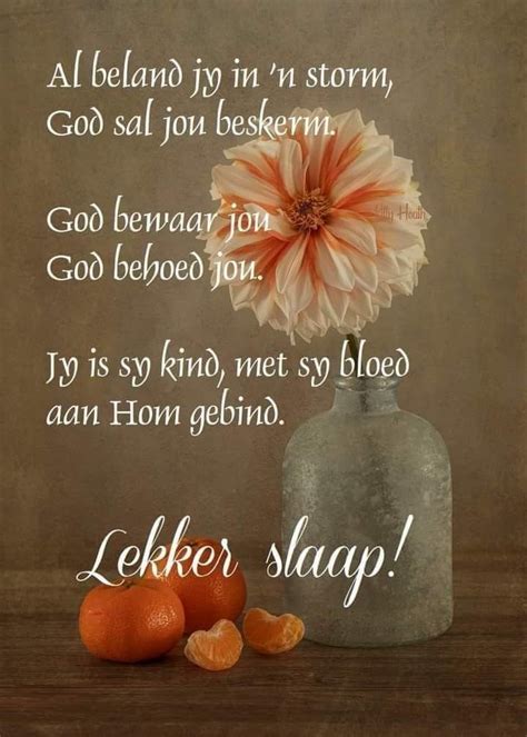 Pin On Goeie Nag Lekker Slaap Droom Goeie Nag Good Night