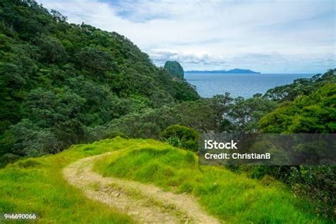 Hiking The Coromandel Coastal Walkway New Zealand 33 Stock Photo