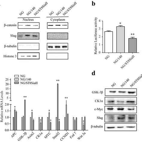 Polysia Mediated Egfr Stat Signaling Pathway A Western Blotting Of