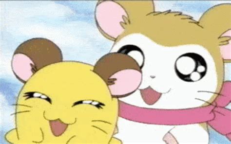 Hamtaro Penelope Hamtaro Penelope Pashmina Discover Share GIFs