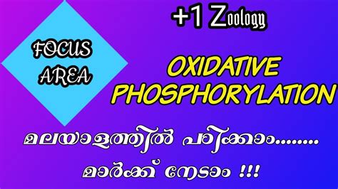 Oxidative Phosphorylation Focus Area Plus One Botany Chapter