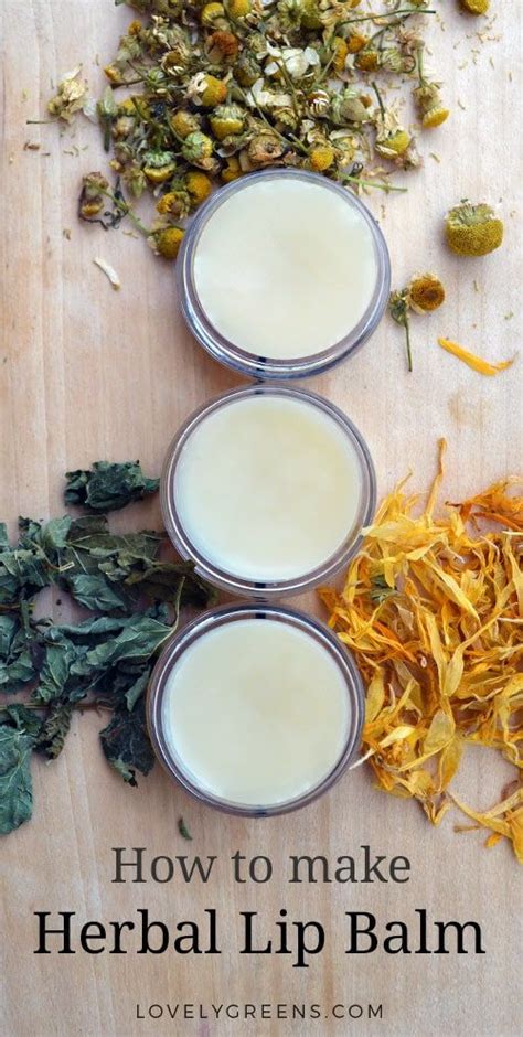 Herbal Lip Balm Recipe Instructions Artofit