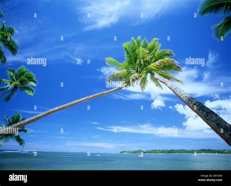 Viti Levu FIJI Stock Photo - Alamy