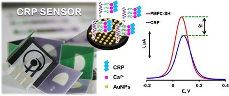 Disposable Paper Based Electrochemical Sensor Using Thiol Terminated