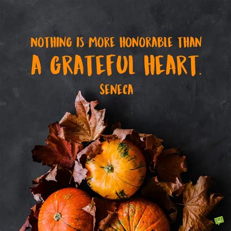 150+ Thanksgiving Quotes for a Day of Real Gratitude [2021]