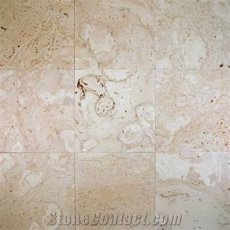 Coralina Shellstone Limestone Tile Mexico Beige Limestone Limestone