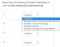 Answered: Please place the following Chordate… | bartleby