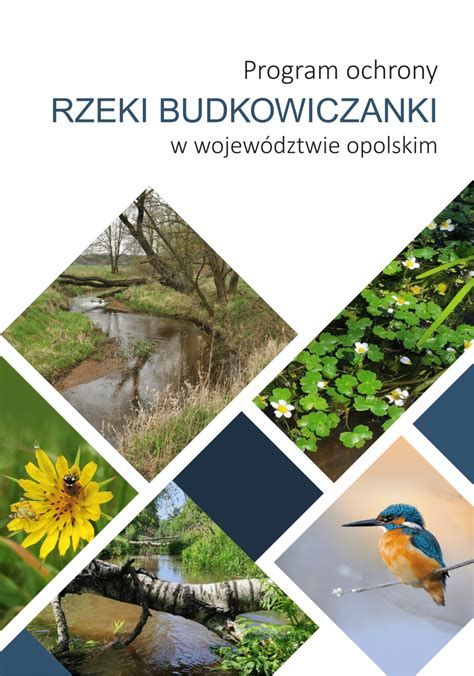 PDF Program ochrony rzeki Budkowiczanki w województwie opolskim