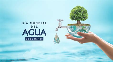 Compromiso Con El Medio Ambiente Uso Responsable De Agua