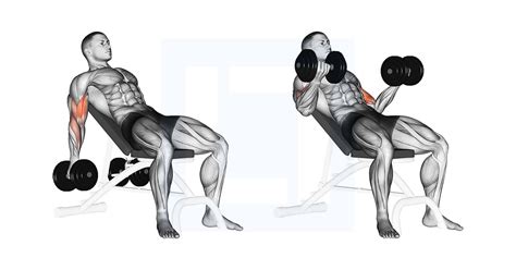 Dumbbell Incline Biceps Curl - Guide, Benefits, and Form