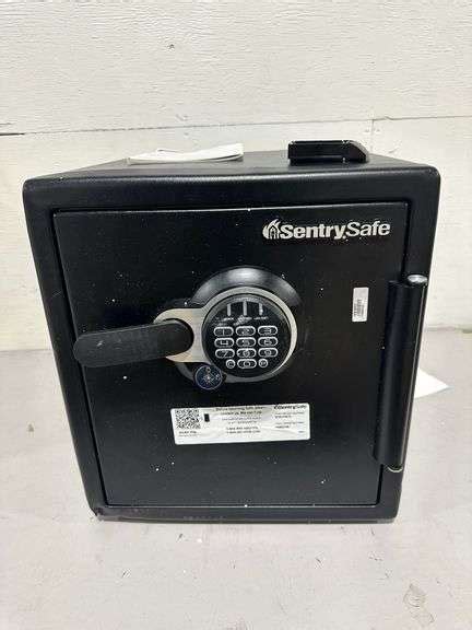 Sentry Safe 1.2 cu. ft. Fireproof & Waterproof Safe With Digital ... 