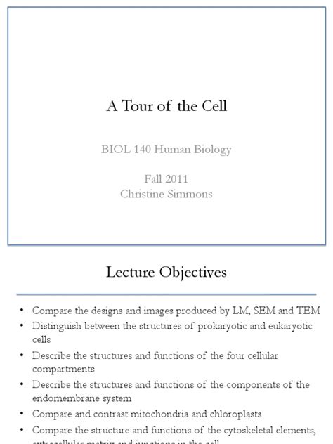 PDF BIOL 140 04 A Tour Of The Cell DOKUMEN TIPS