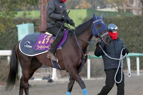 【ajcc】ユーバーレーベンがgⅠ馬の意地を見せる 手塚師「具合は良さそう」｜競馬ニュース｜競馬予想のウマニティ