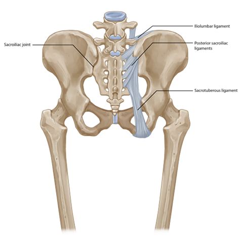 Sacroiliac Joint Pain Treatment Chronic Joint Pain Relief Pain Spa