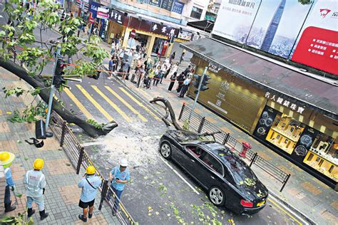 尖沙咀鬧市塌樹砸車 司機一度被困 晴報 港聞 要聞 D230609