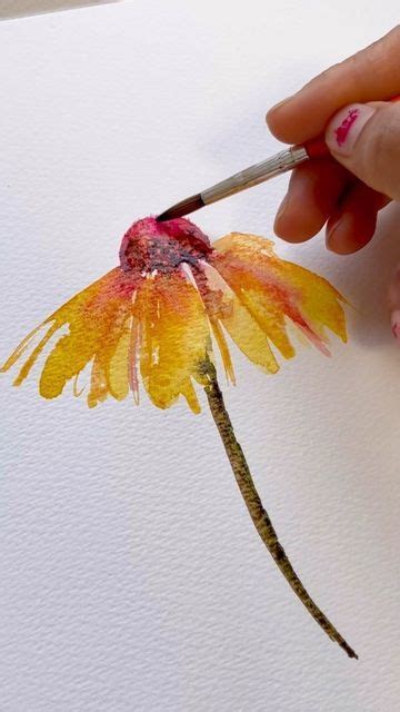 Ruchi Bhadani On Instagram Easy Coneflower In Watercolour In