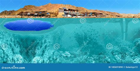 Blue Hole Red Sea Egypt