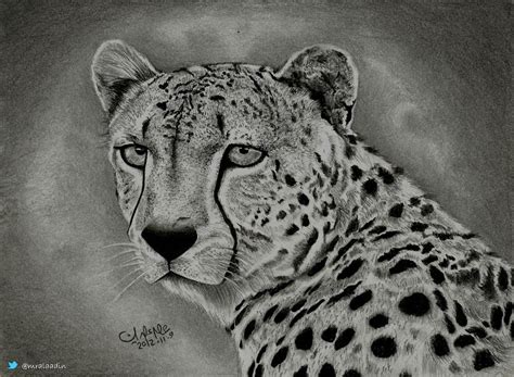 Cheetah Drawing Easy How To Draw A Cheetah How To Draw A Cheetah