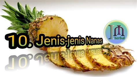 Inilah Jenis Nanas Yang Paling Baik Bagi Kesehatan Mau Tahu Apa Saja