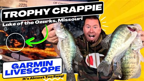 Catch Giant Trophy Crappie With Garmin Livescope Lake Of The Ozarks