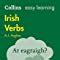 Hughes D Collins Easy Learning Irish Verbs Trusted Support For