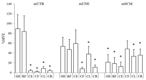 Electromyographic Evaluation of Specific Elastic Band Exercises