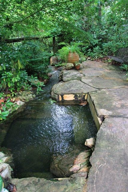 A Small Stream Running Through A Lush Green Forest