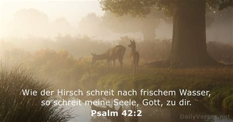 31 Januar 2024 Bibelvers Des Tages Psalm 42 2 DailyVerses Net