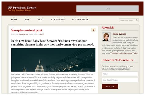 Free WP Premium Theme For Your Next Blog | Templatic