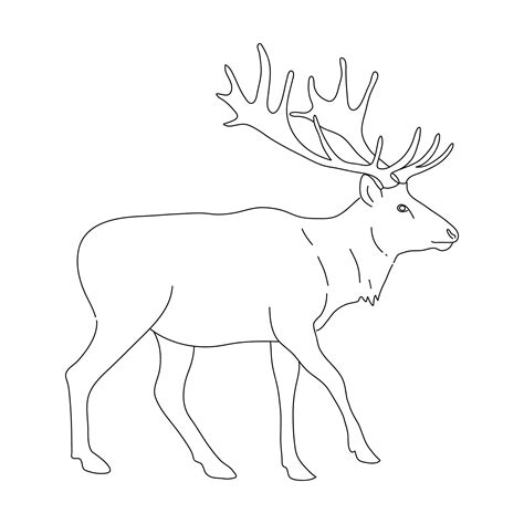 Premium Vector Deer In Line Art Drawing Style Vector Illustration