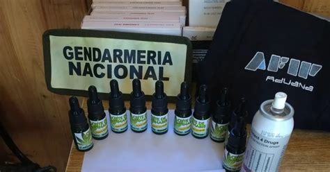 Intentó ingresar 10 frascos de aceite de cannabis por el paso Pehuenche