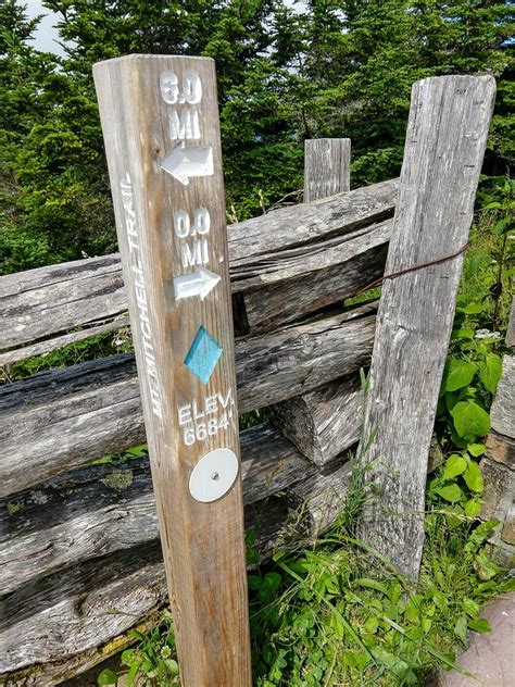 Mount Mitchell Hike